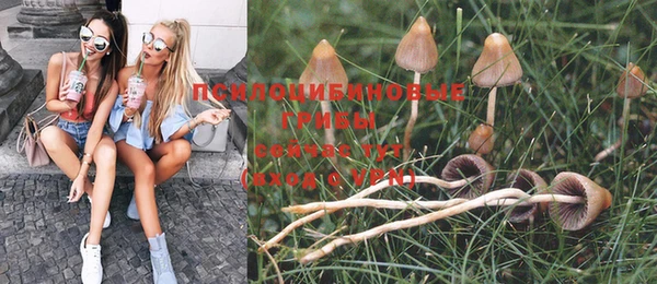 бошки Алексин