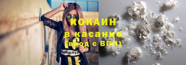 прущие крисы Алзамай