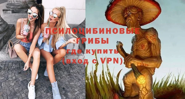 бошки Алексин