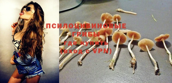 прущие крисы Алзамай