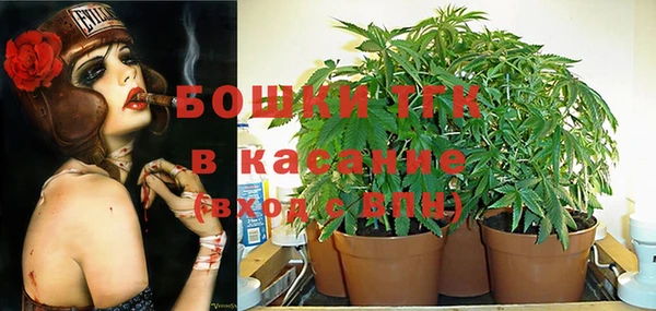 бошки Алексин