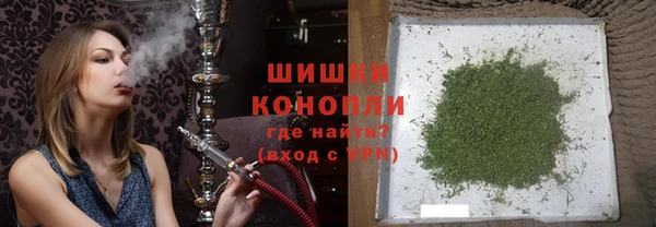 бошки Алексин