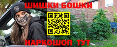 Альфа ПВП Можга