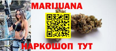 Альфа ПВП Можга