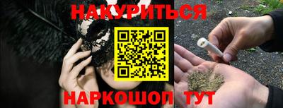 сатива Можайск