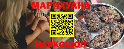 Альфа ПВП Можга