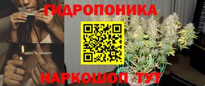 Альфа ПВП Можга