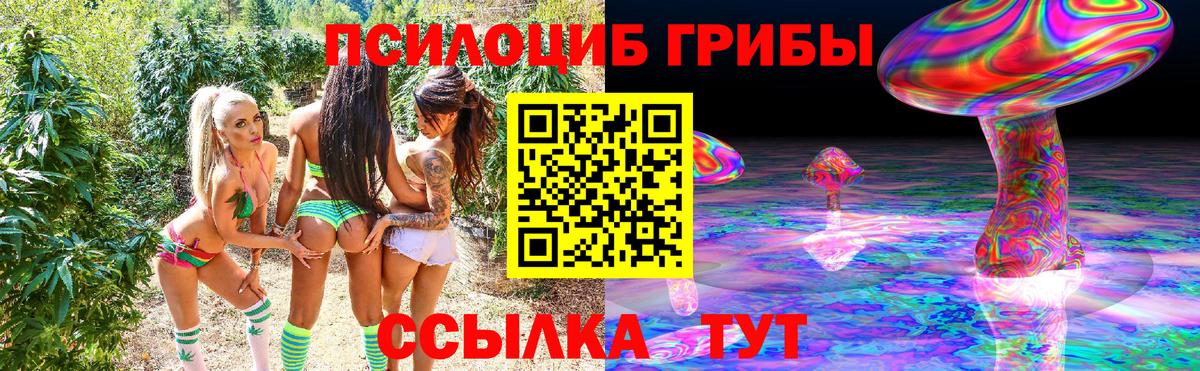 Псилоцибиновые грибы ЛСД  наркота  Киреевск  Вход с VPN 